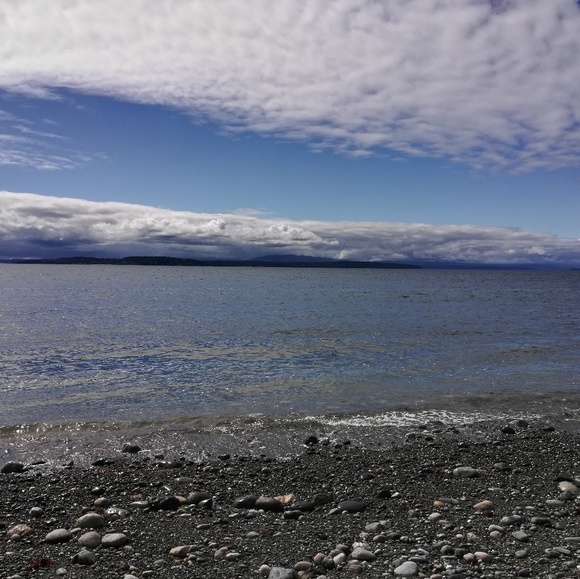 Meet your Posher, Marlo - Picture 1 of 2